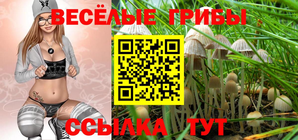 Псилоцибиновые грибы Cubensis Шелехов